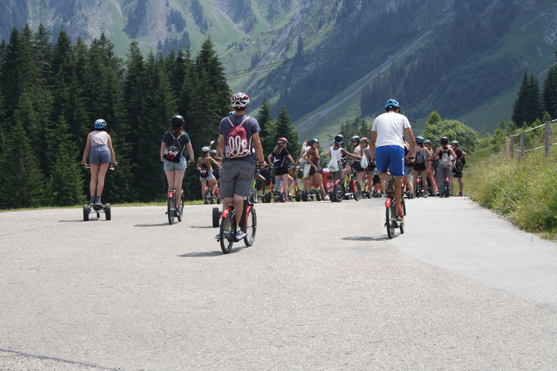 Bild 197