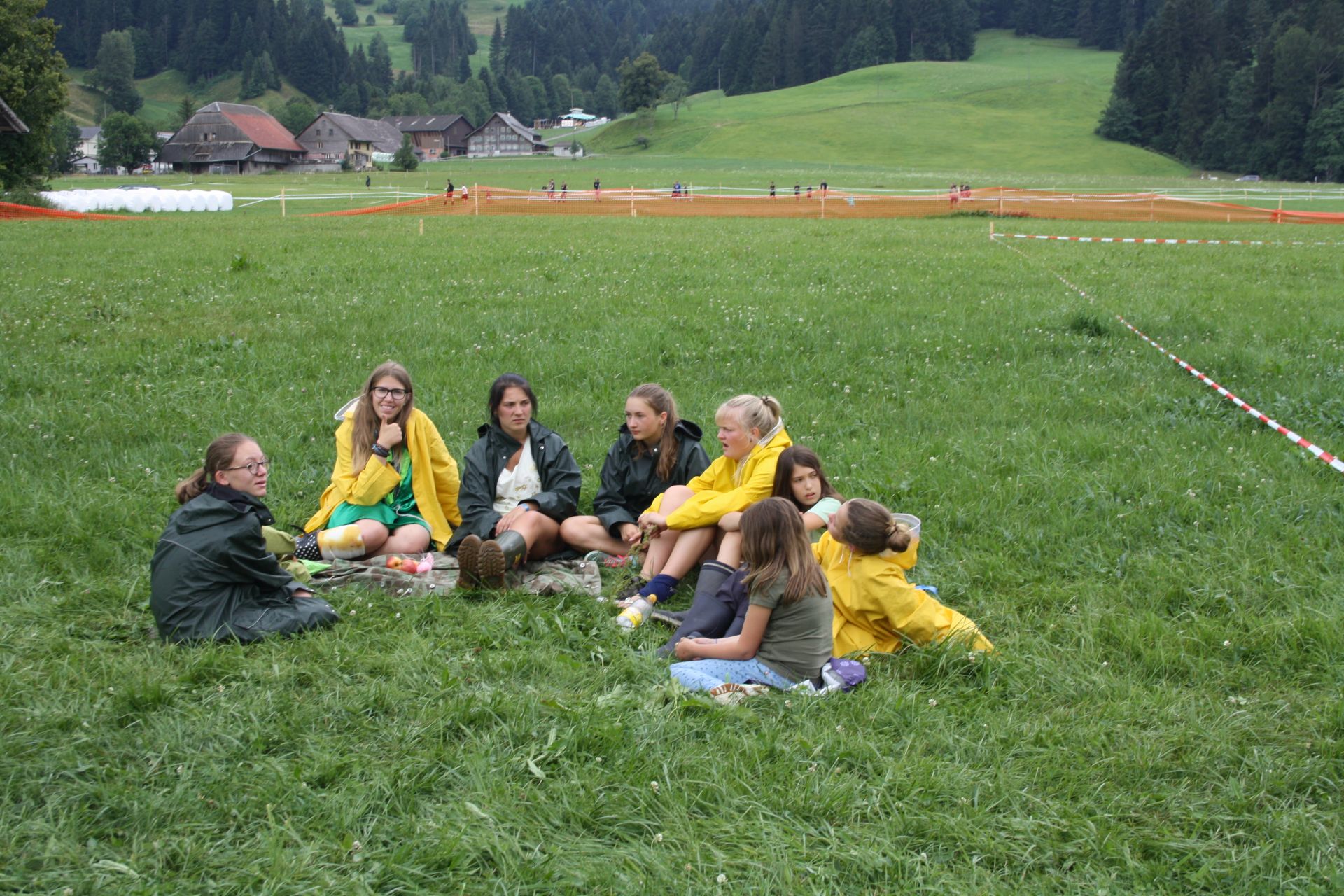 Bild 227
