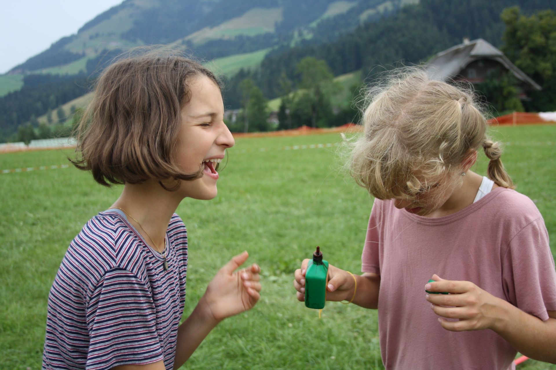 Bild 228