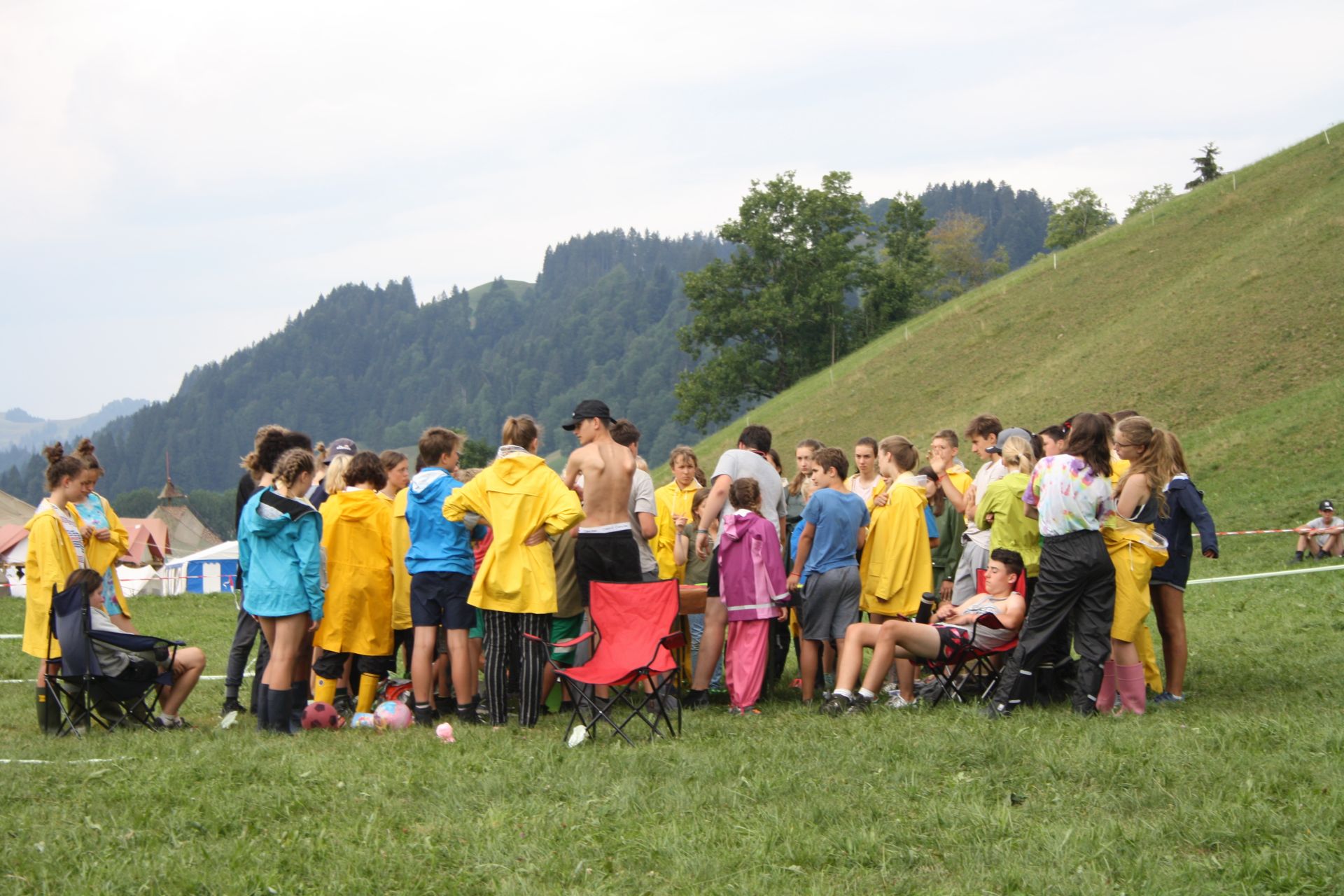 Bild 231