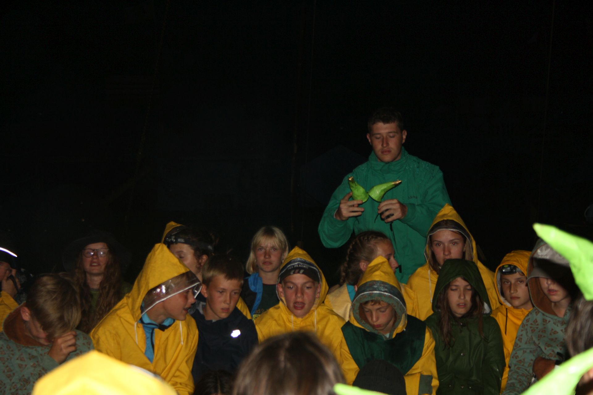 Bild 243