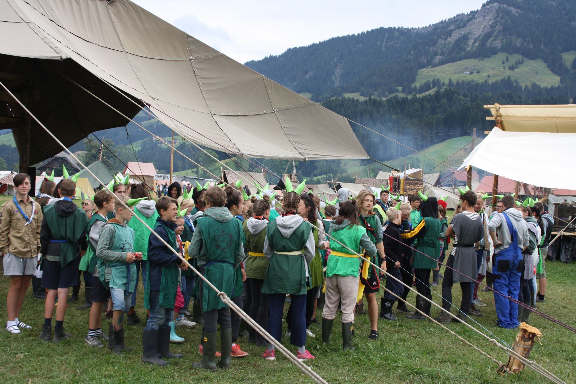 Bild 246