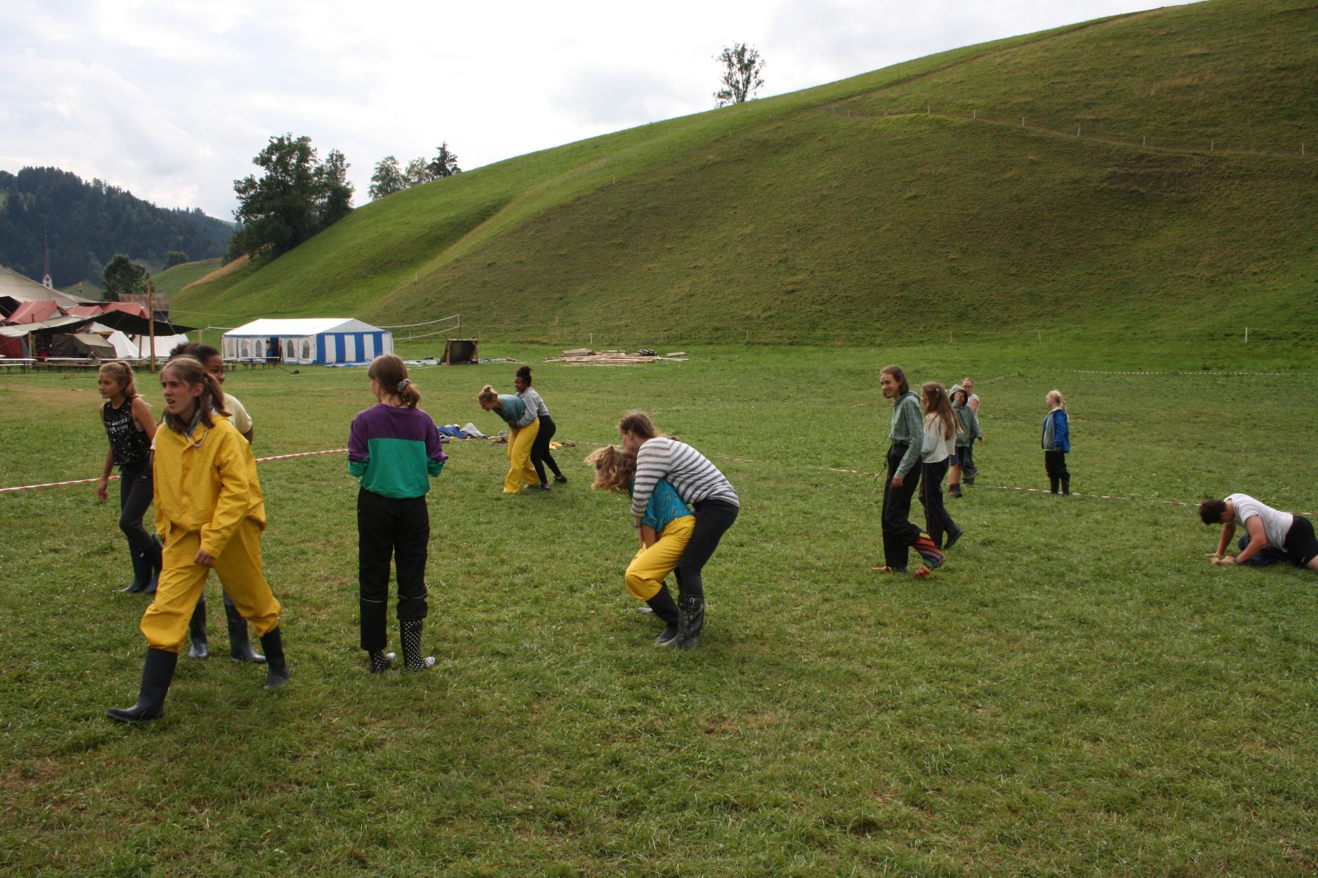 Bild 295