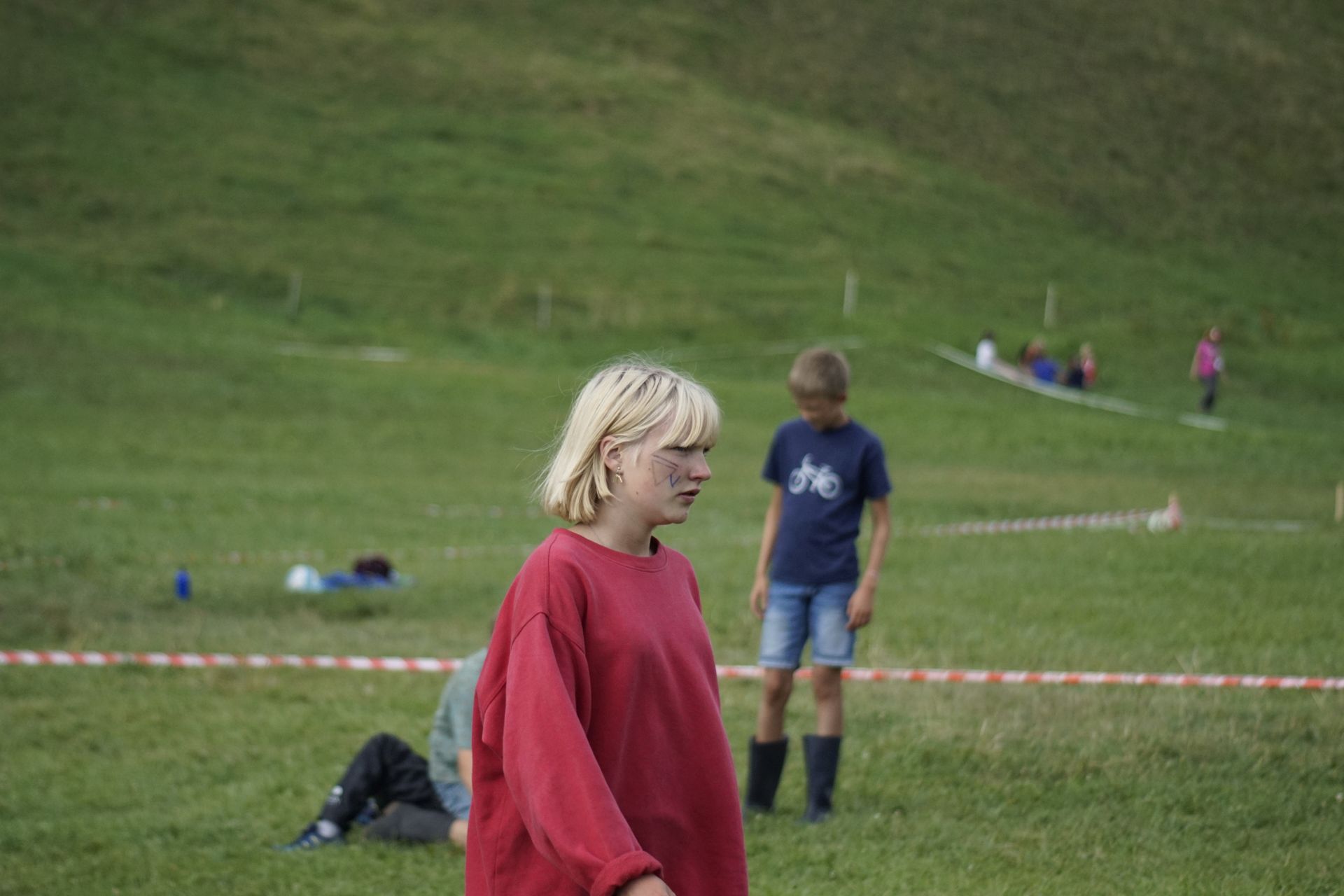 Bild 317
