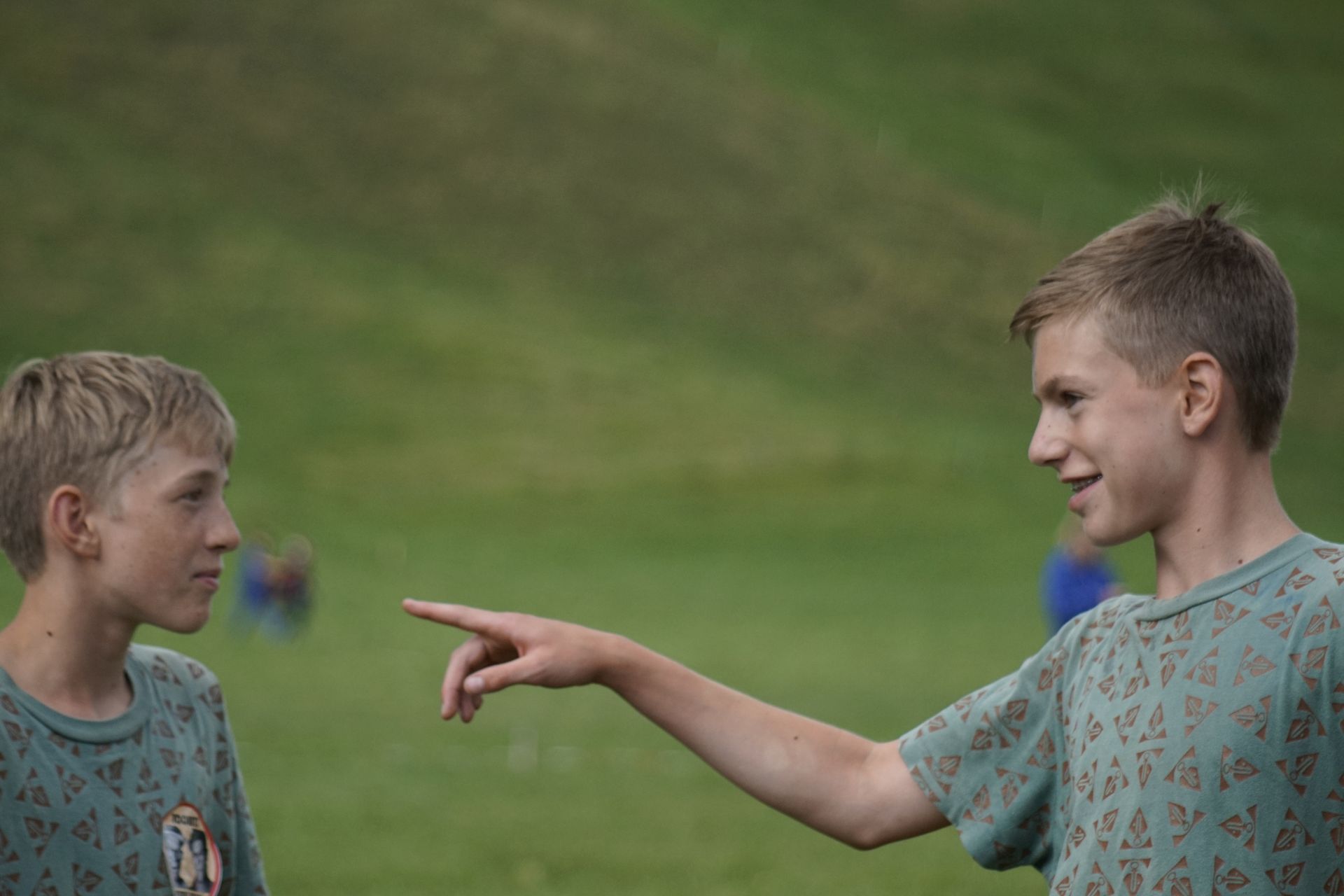 Bild 331