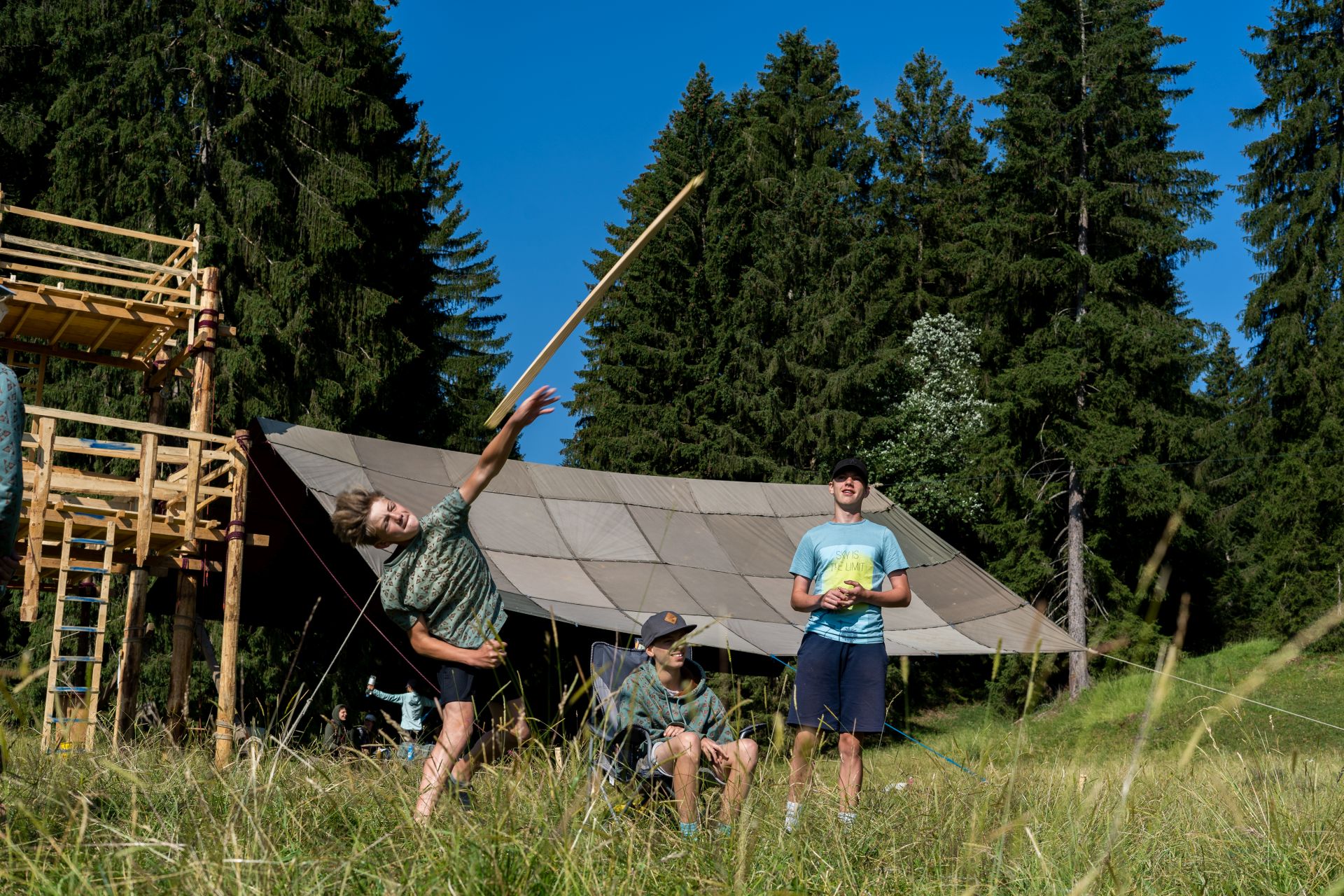 Bild 15
