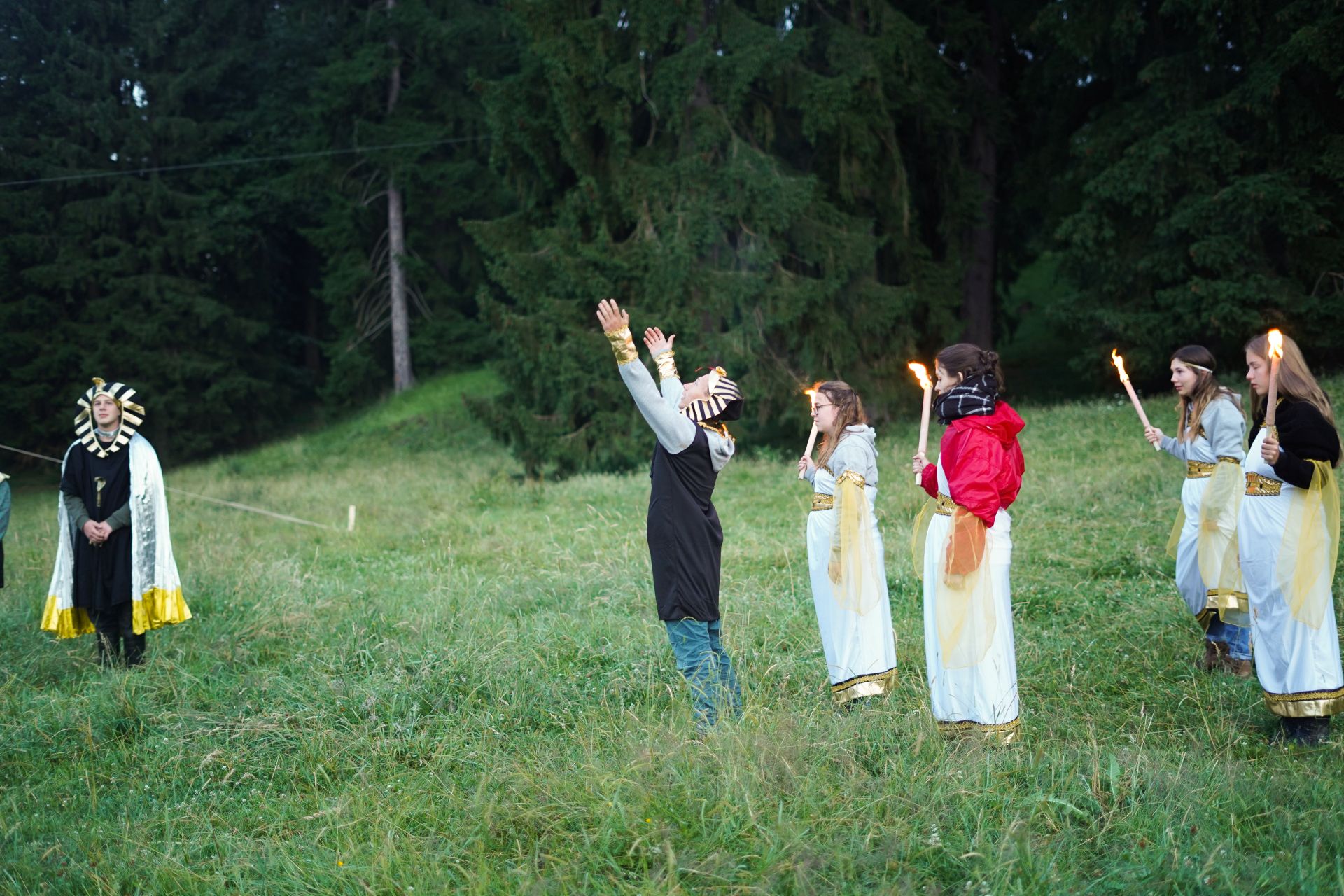 Bild 172