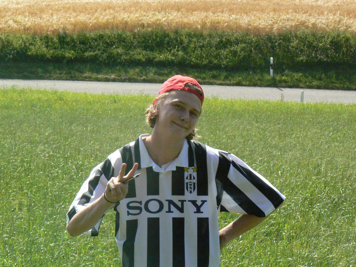 Bild 41