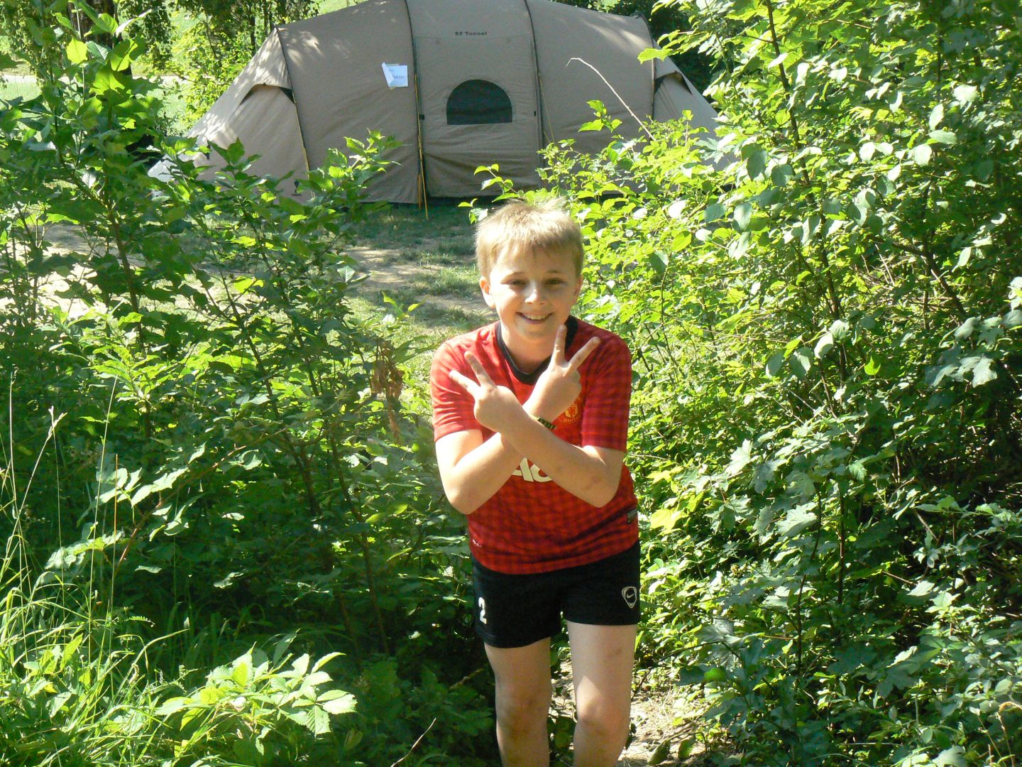 Bild 51
