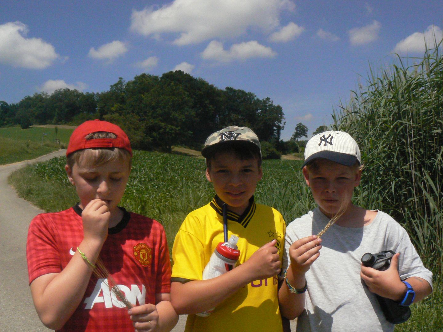 Bild 61