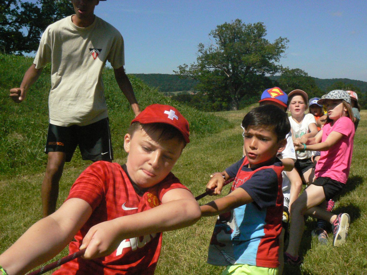 Bild 82