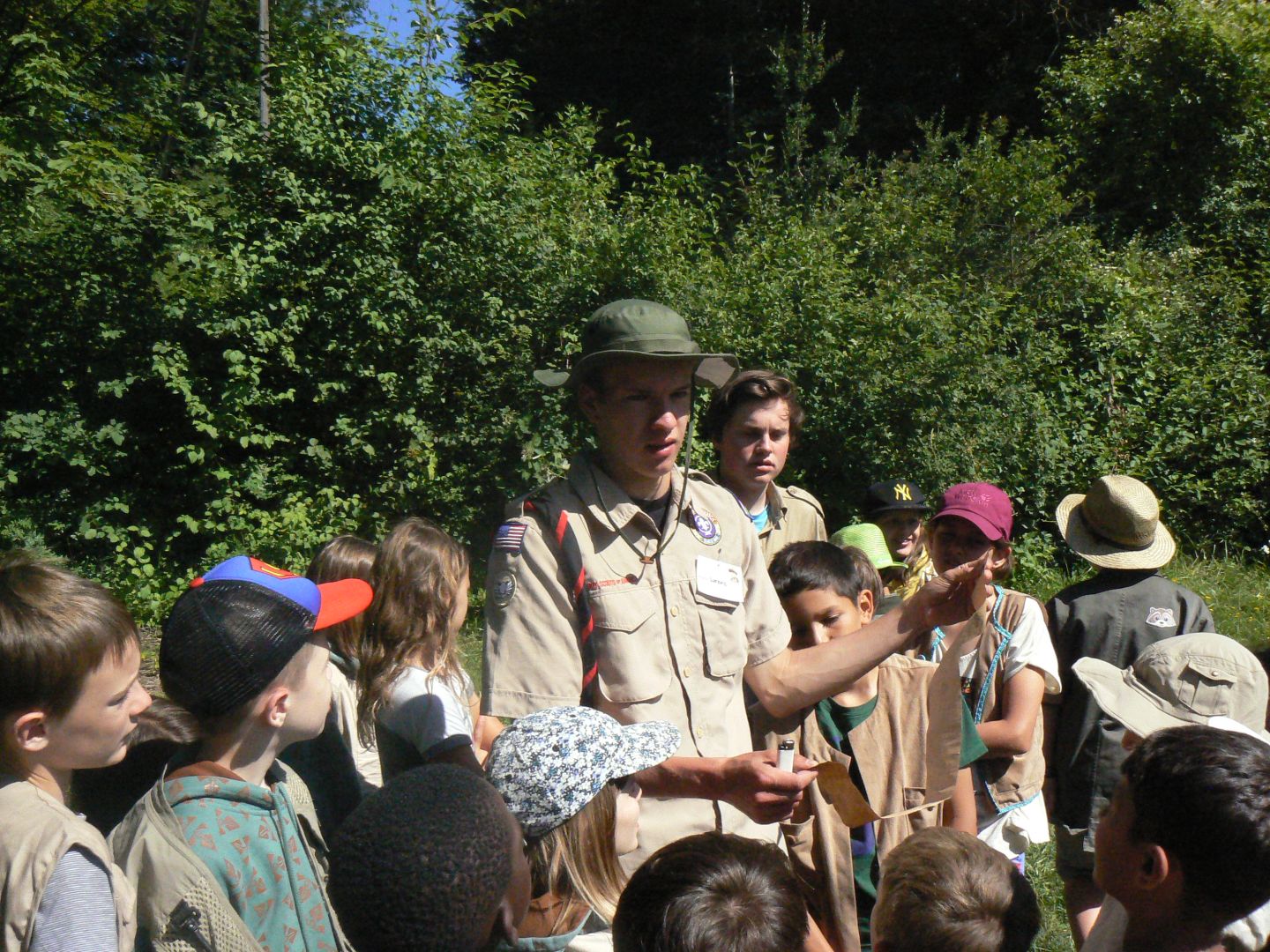 Bild 113