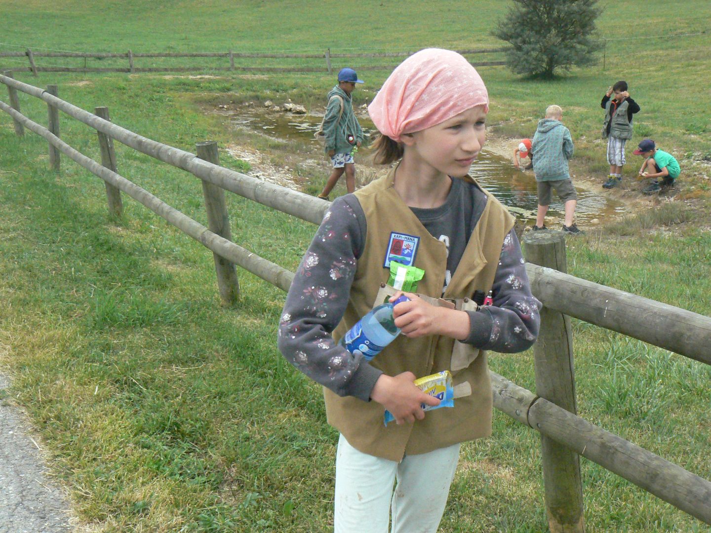 Bild 181