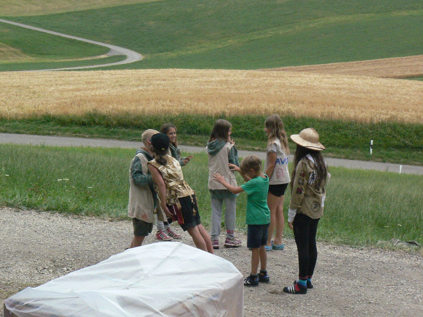 Bild 219
