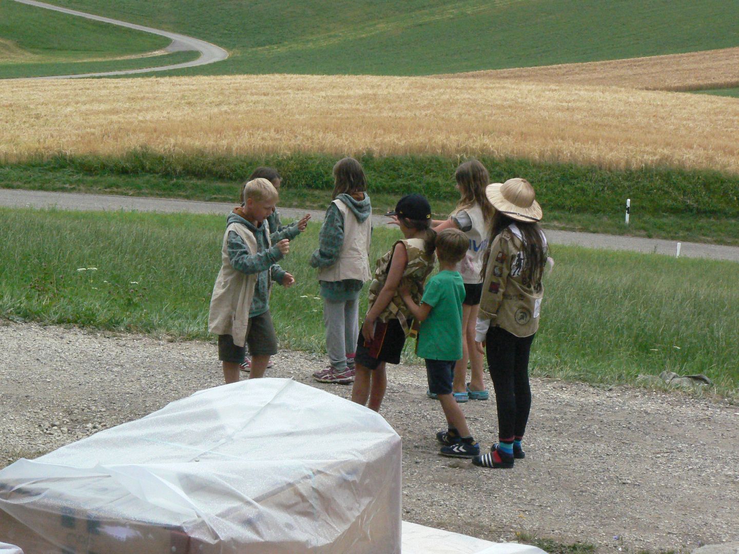 Bild 220