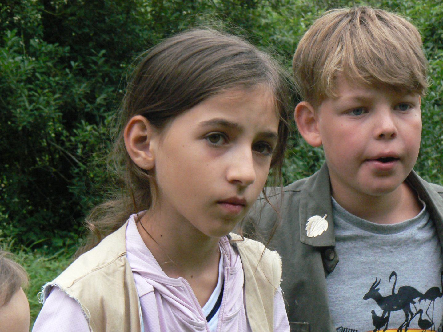 Bild 222