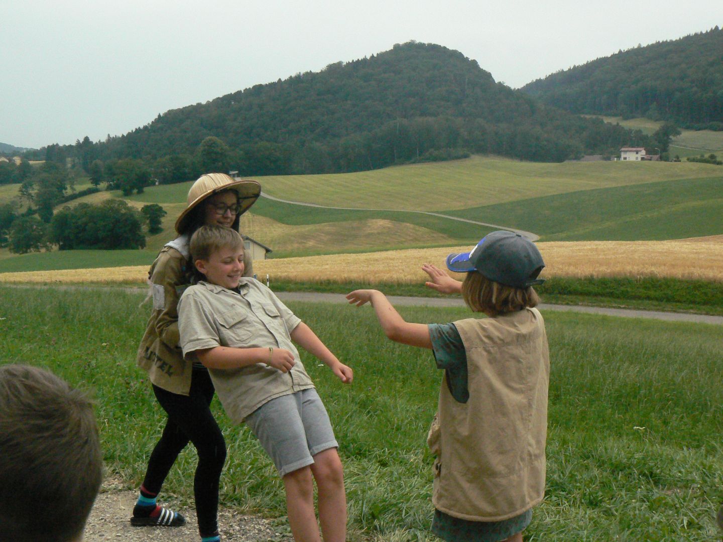 Bild 228