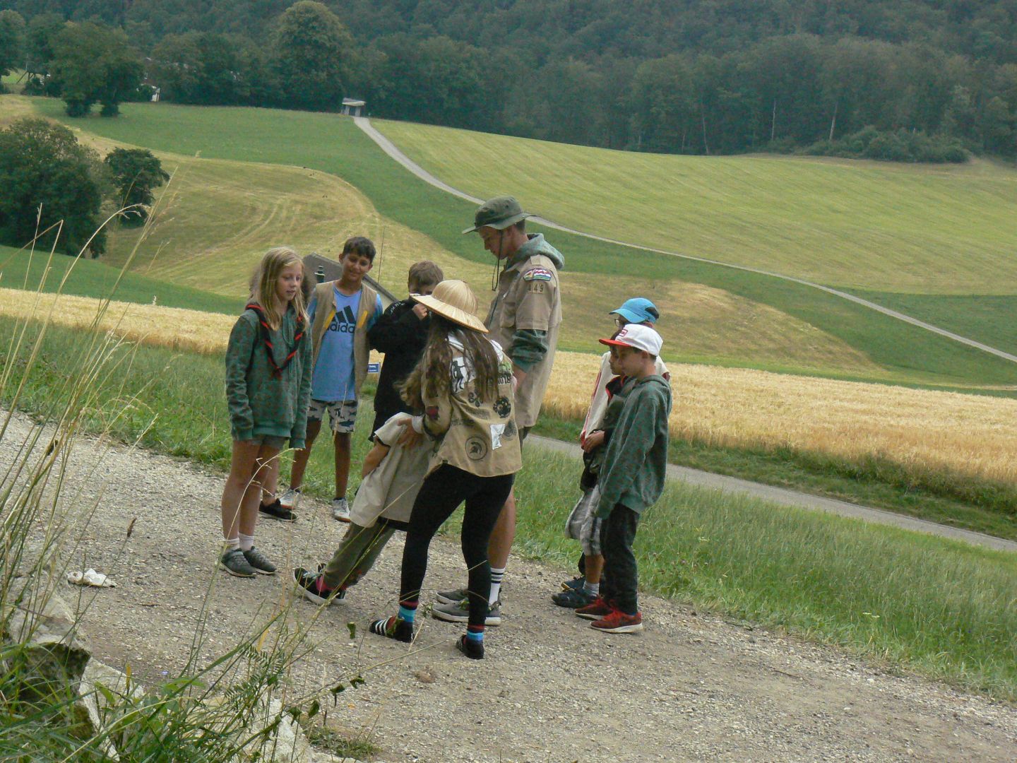 Bild 237