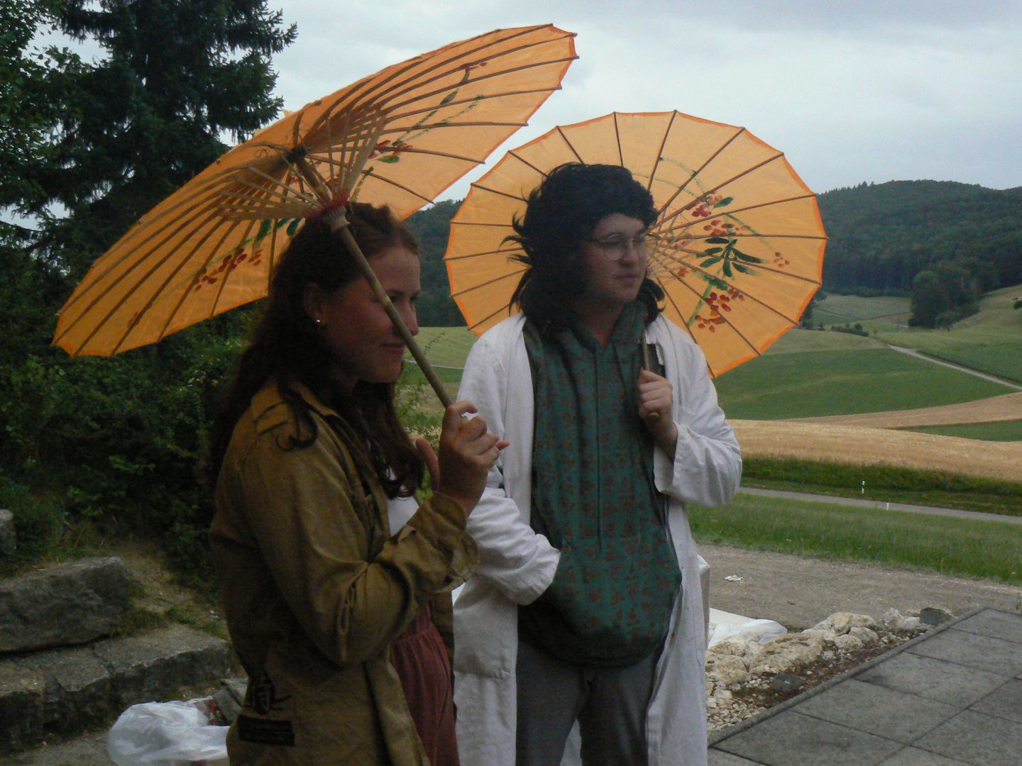 Bild 243
