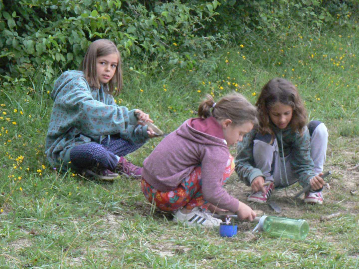 Bild 272