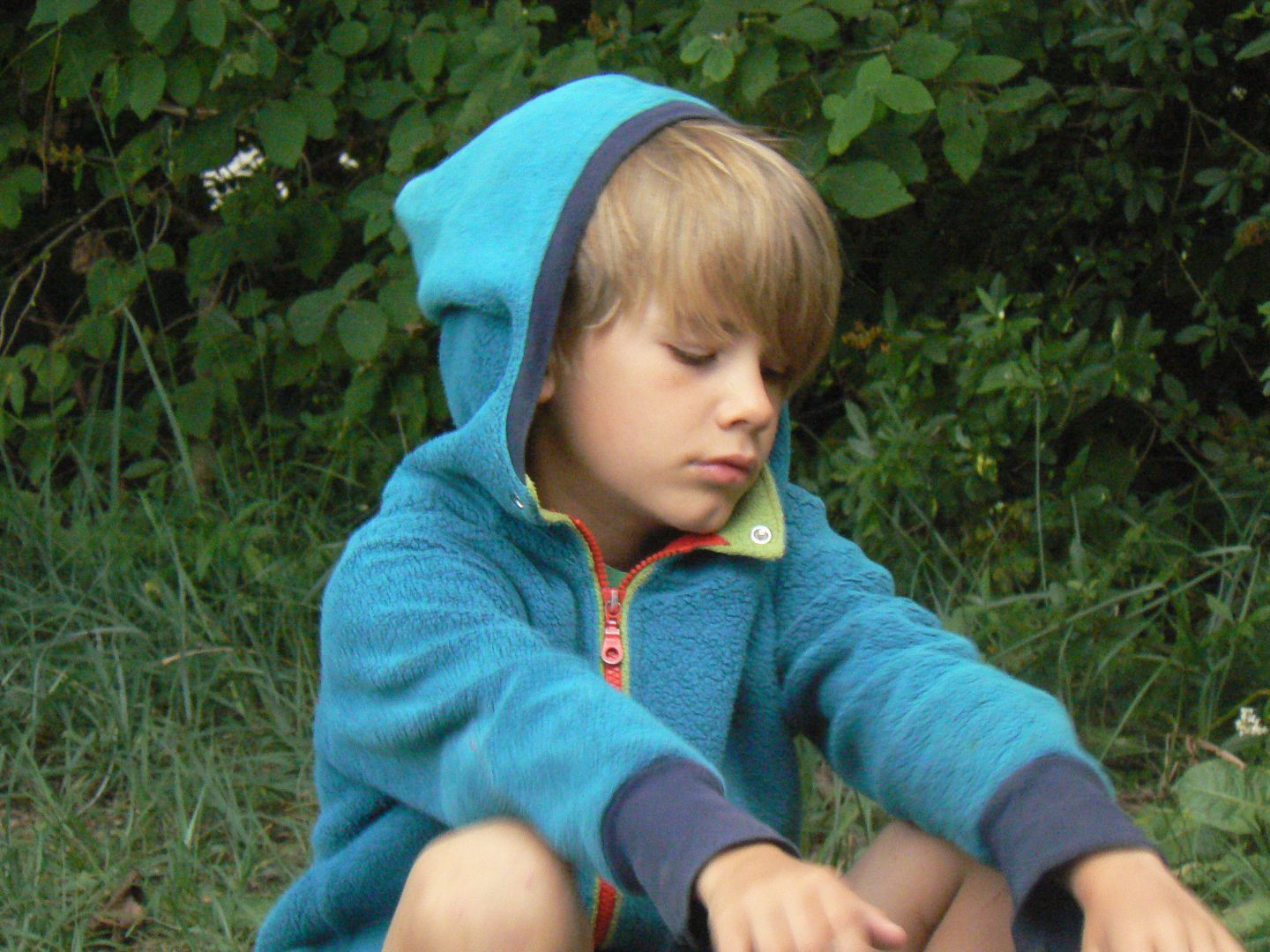 Bild 273