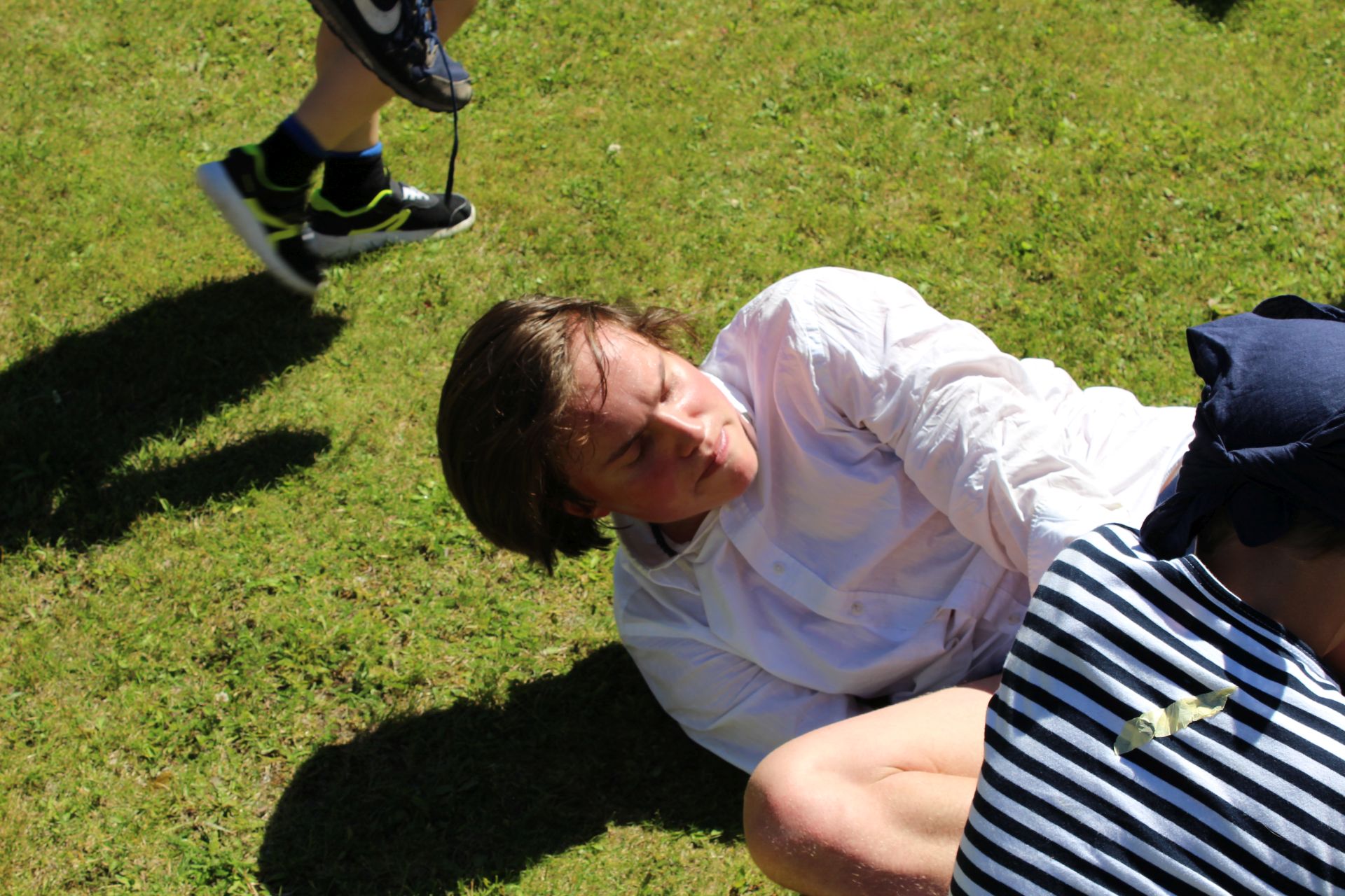 Bild 12