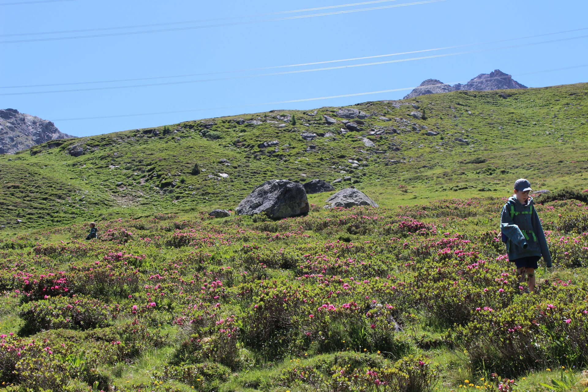 Bild 32