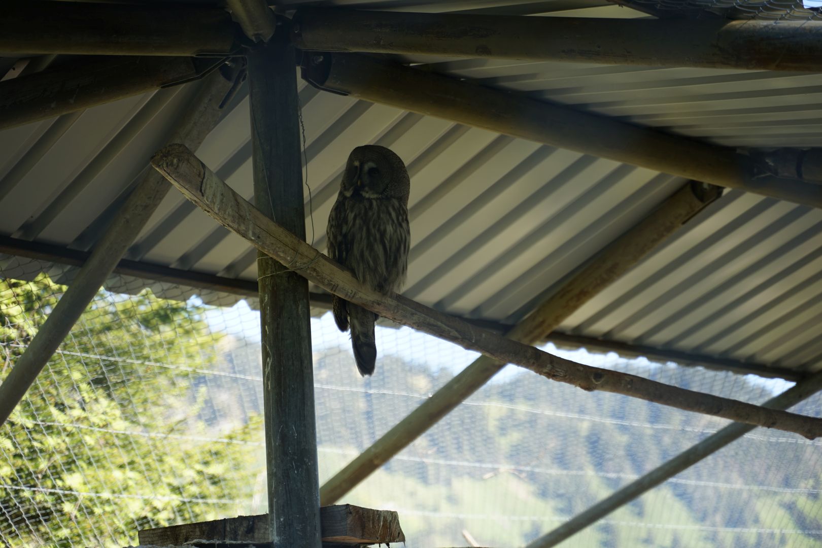Bild 117