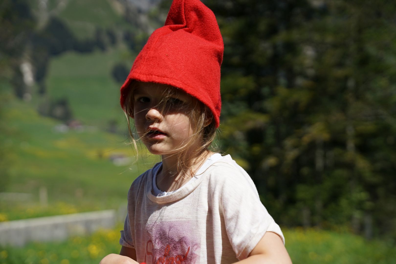 Bild 185