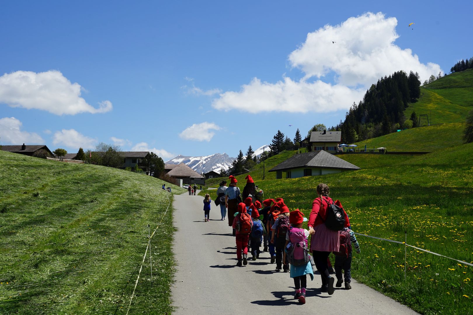 Bild 196