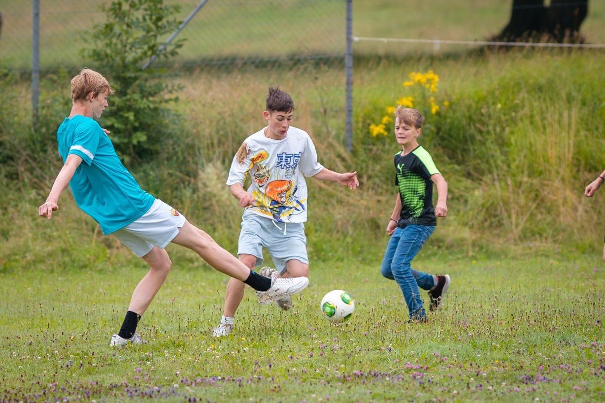 Bild 183