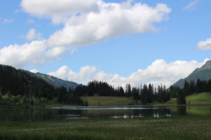 Bild 29