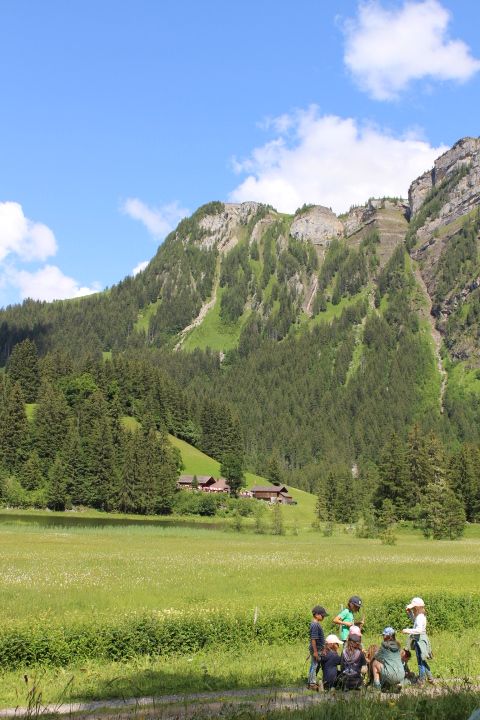 Bild 33