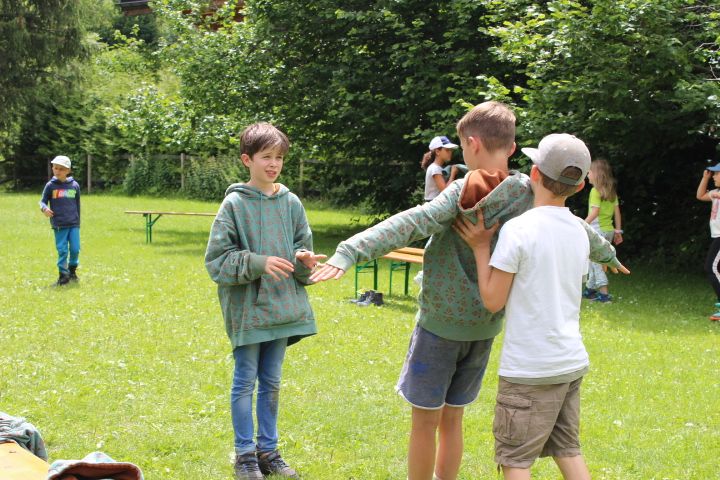 Bild 50
