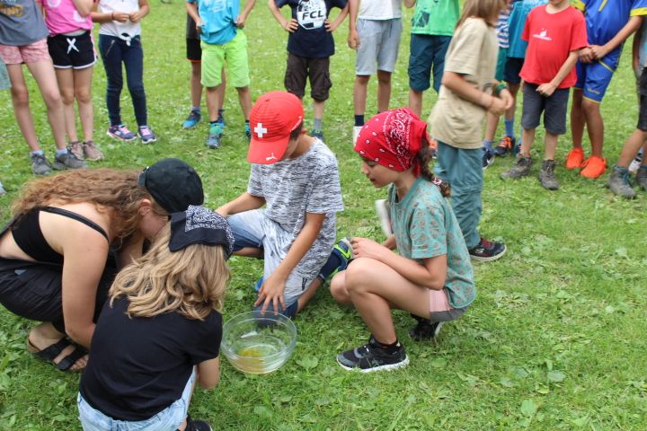 Bild 64