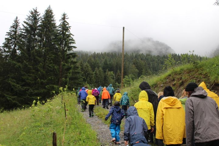 Bild 82