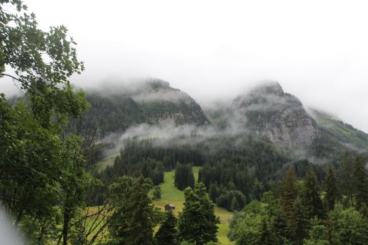 Bild 83