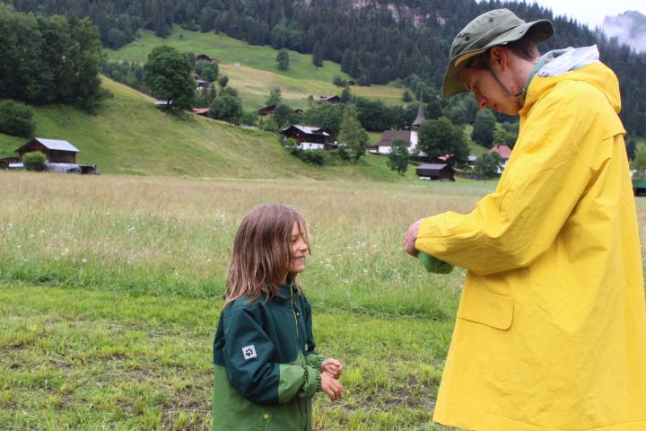 Bild 87