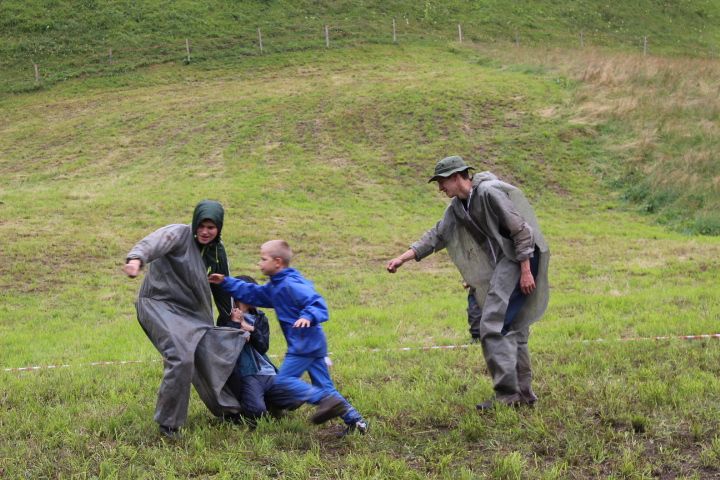 Bild 211