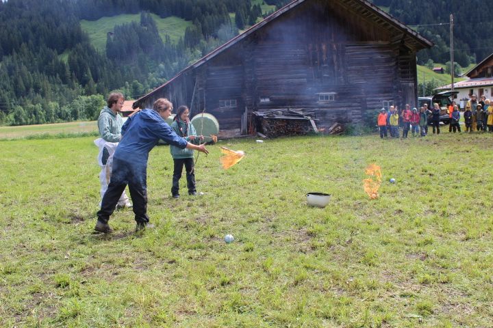 Bild 222