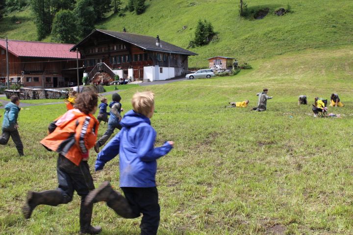 Bild 224