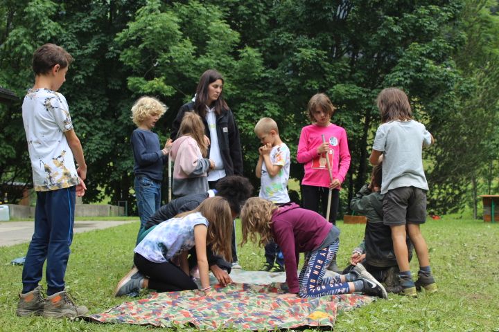 Bild 228