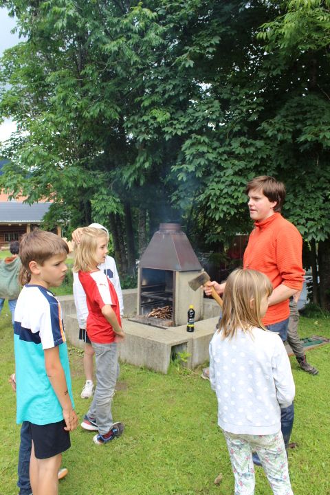 Bild 231