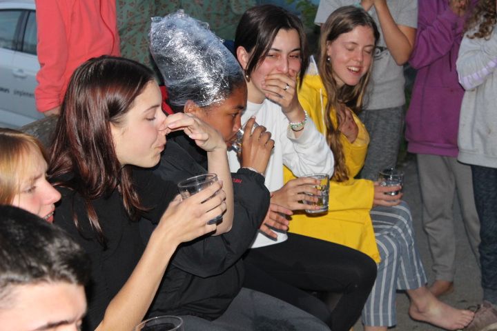 Bild 244