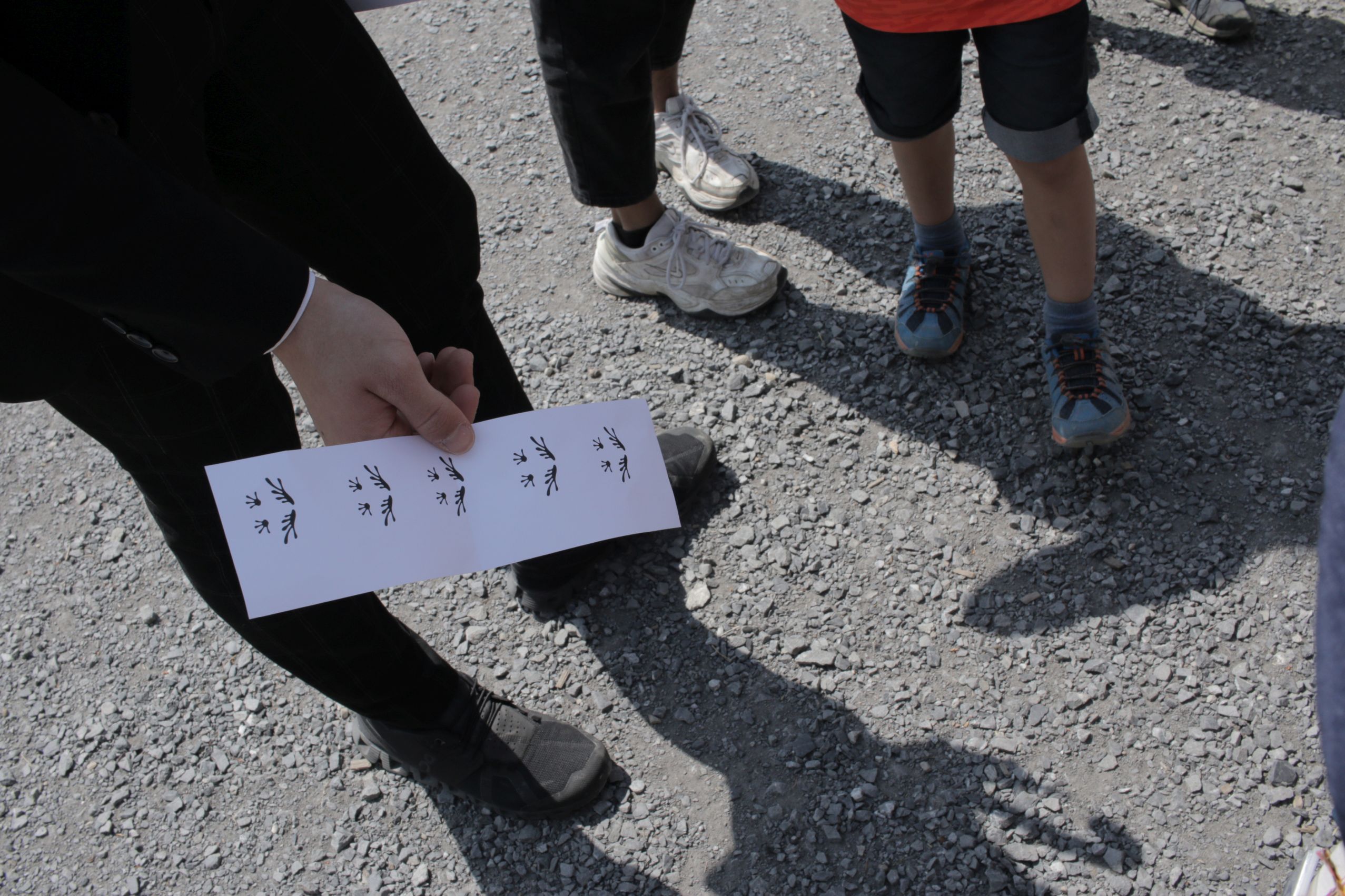 Bild 14
