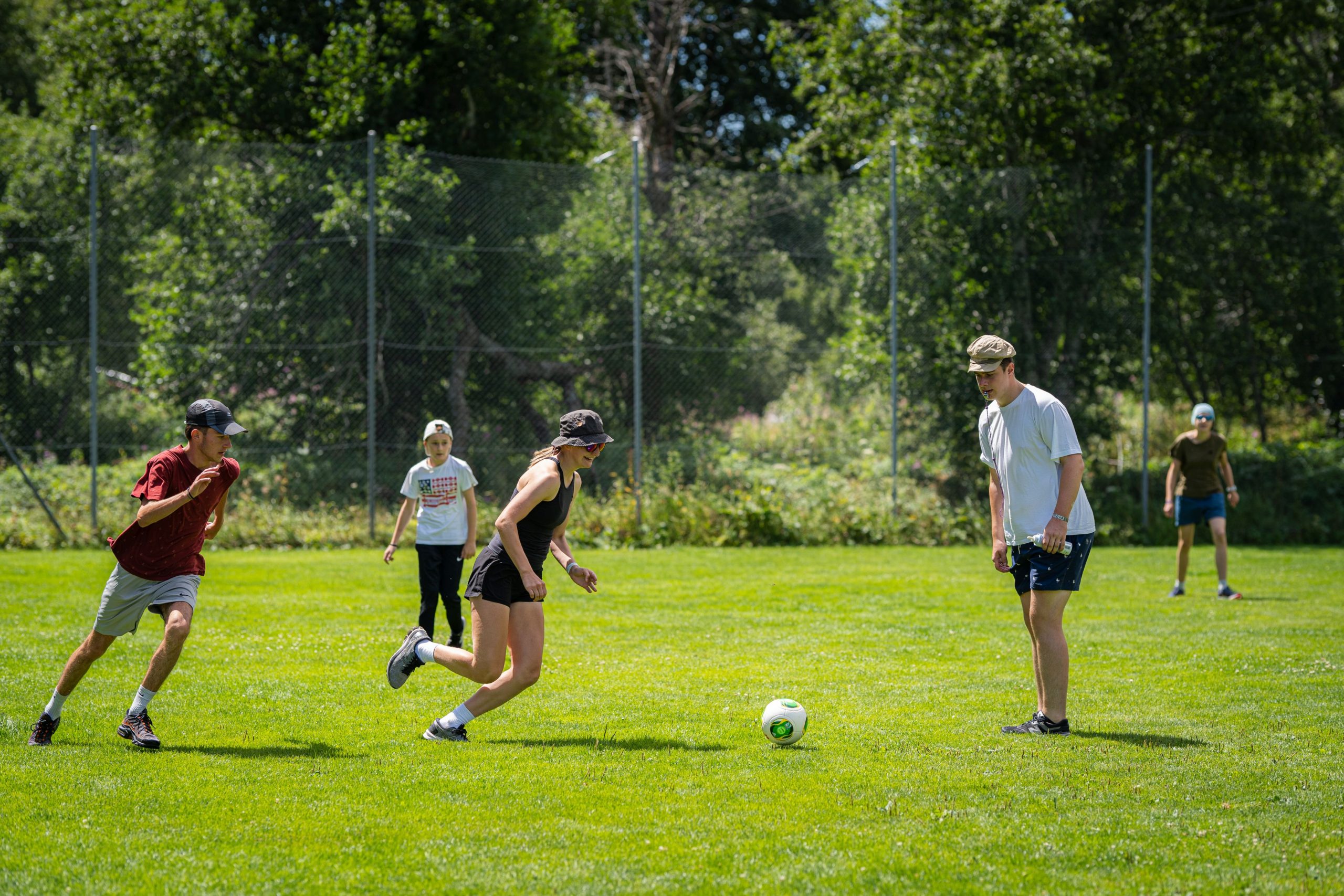 Bild 229