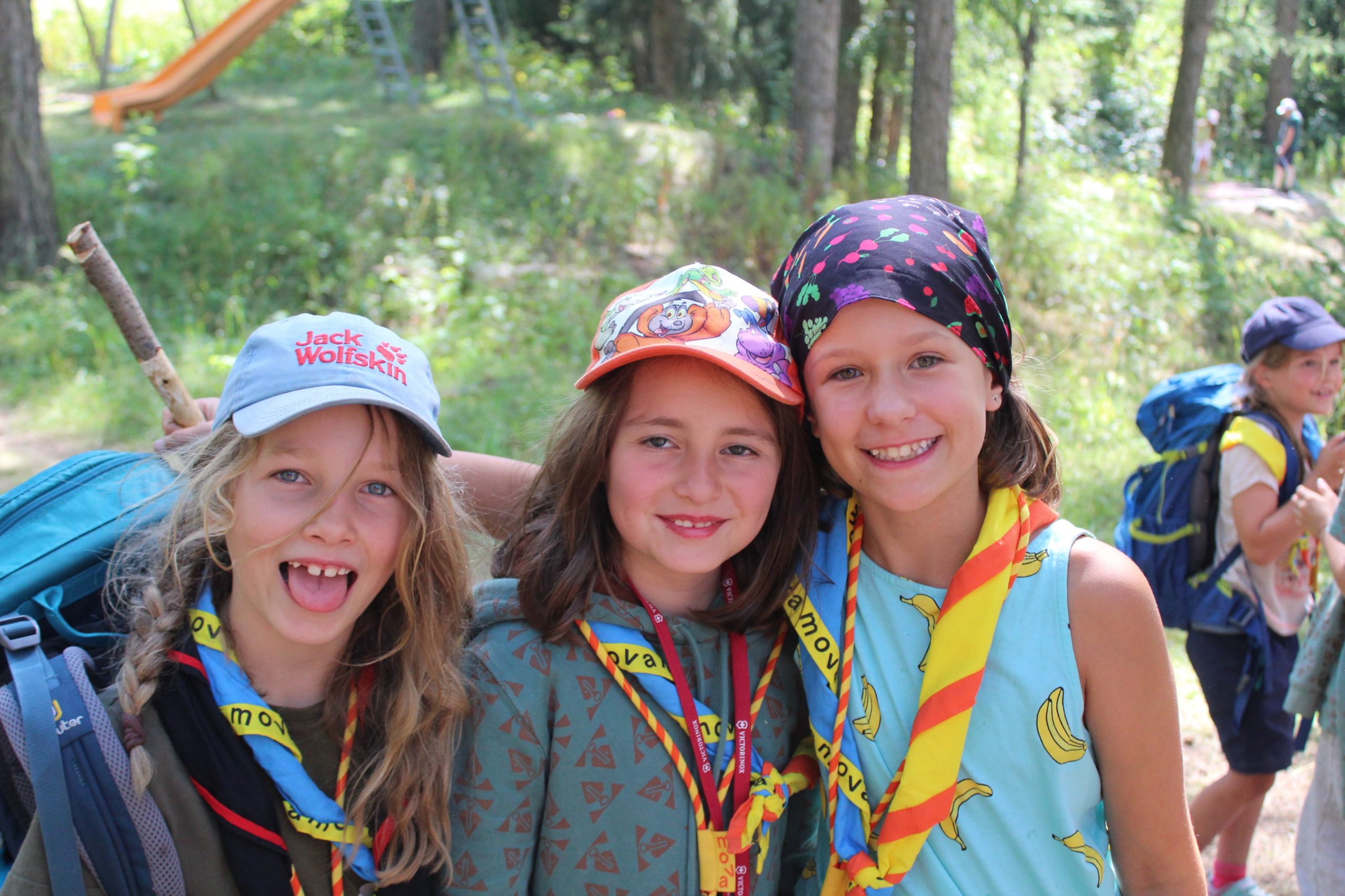 Bild 64
