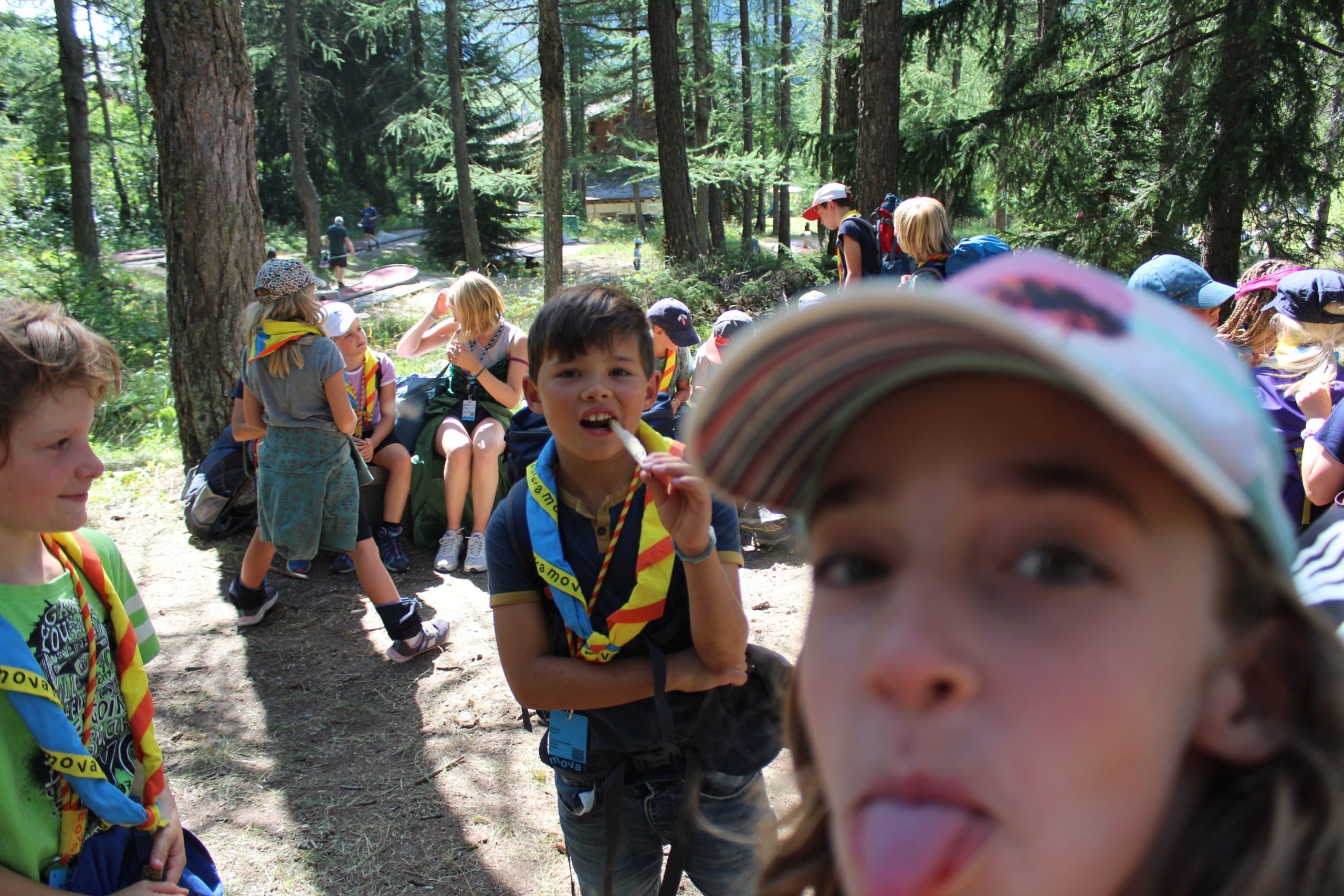 Bild 67