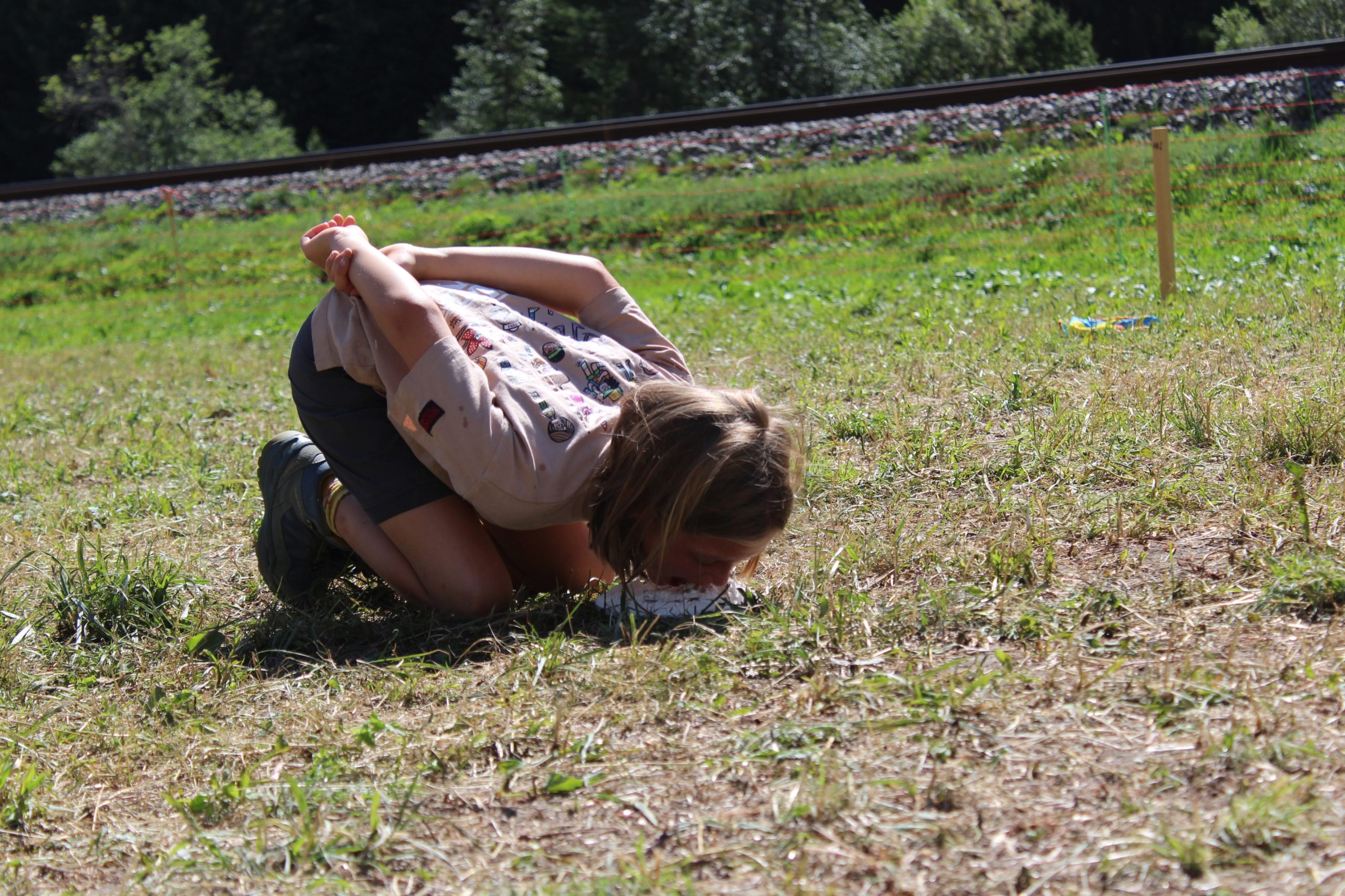 Bild 94
