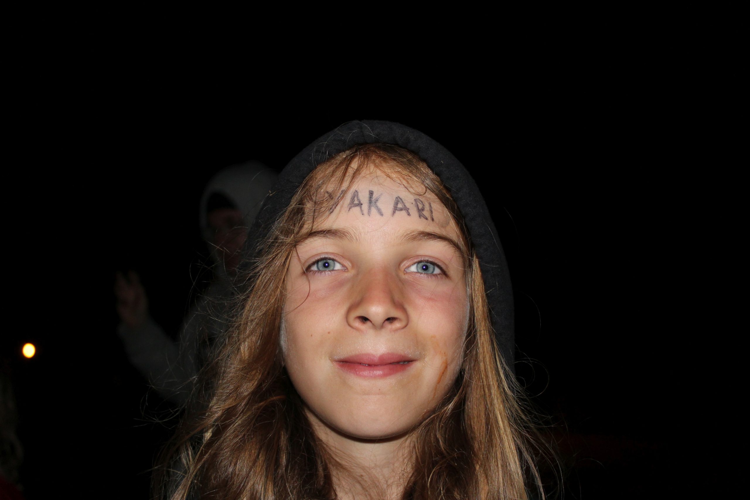 Bild 186